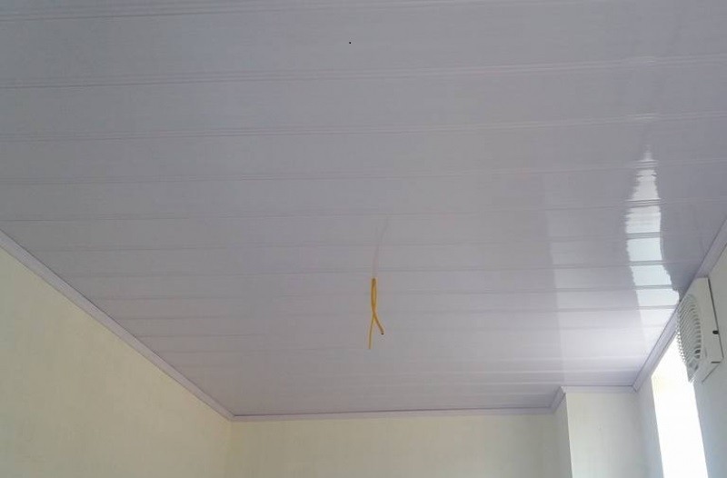 la phông nhựa 