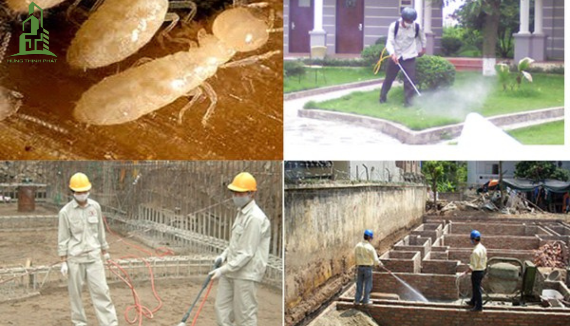 Những Phương Pháp Phòng Chống Mối Mọt Cho Nhà Ở 2025